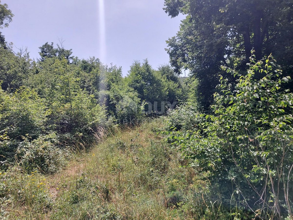 Bregi, Matulji, 3.100m2
