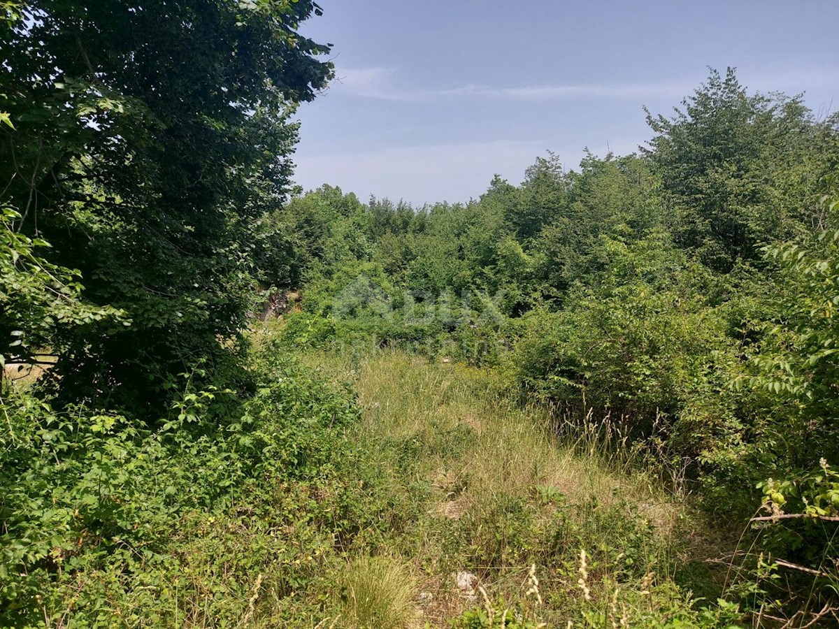 Bregi, Matulji, 3.100m2