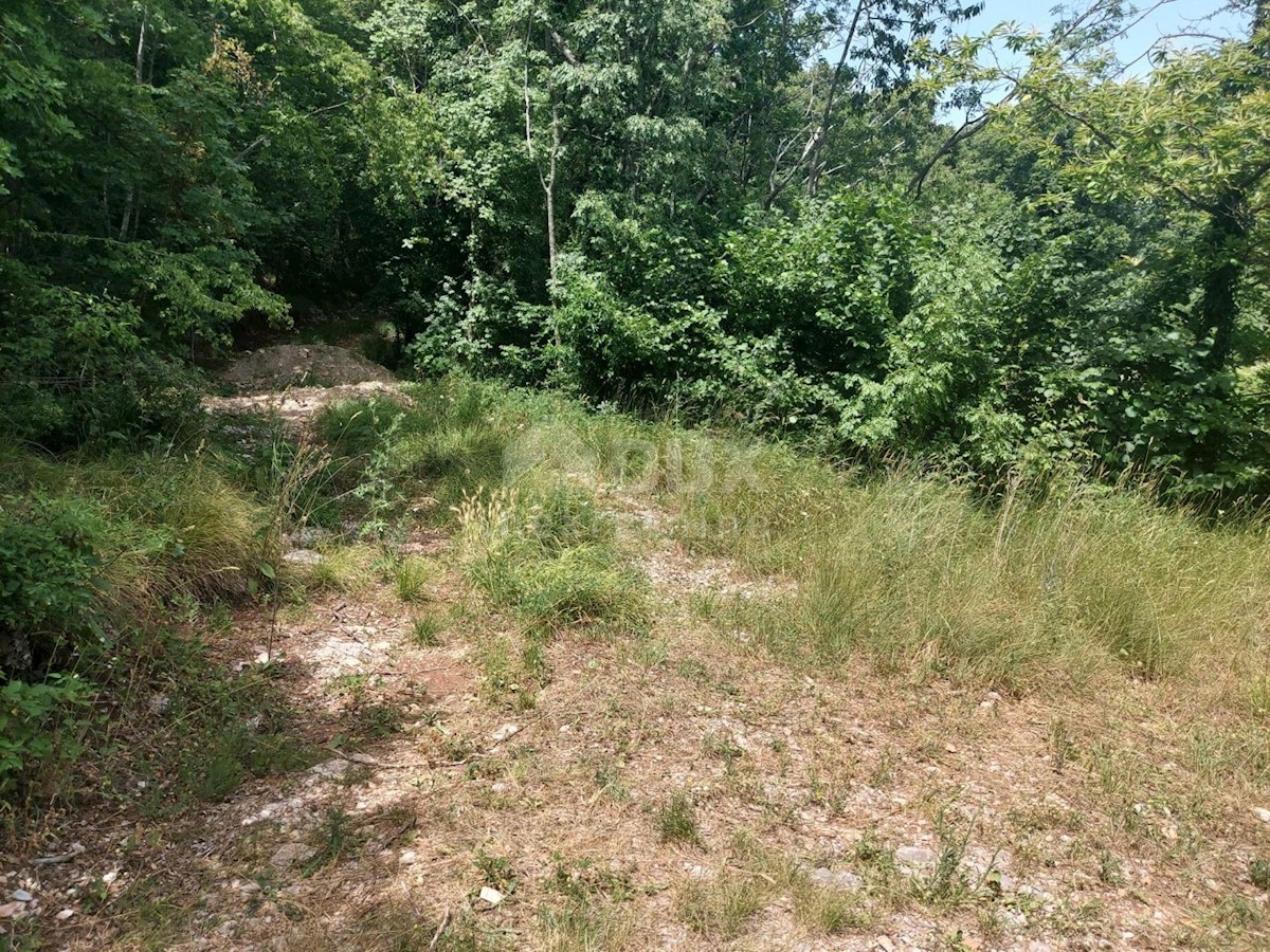 Bregi, Matulji, 3.100m2