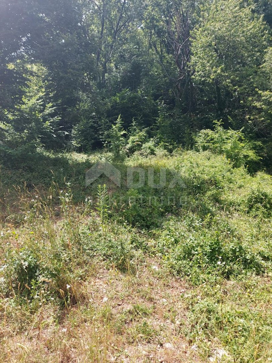 Bregi, Matulji, 3.100m2