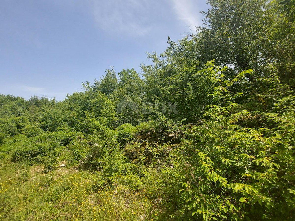 Bregi, Matulji, 3.100m2