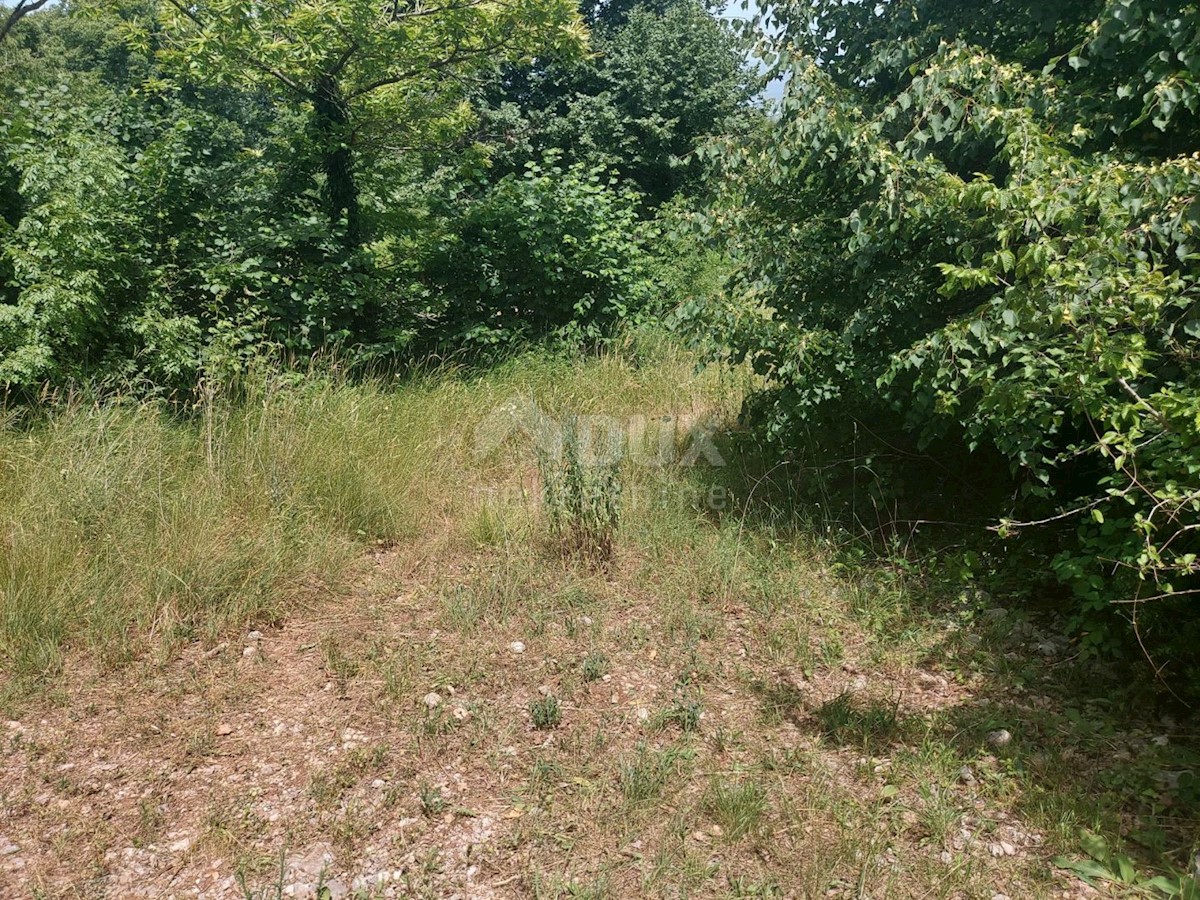 Bregi, Matulji, 3.100m2