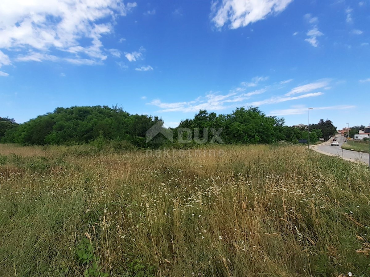 Savudrija, Umag, 11.677m2