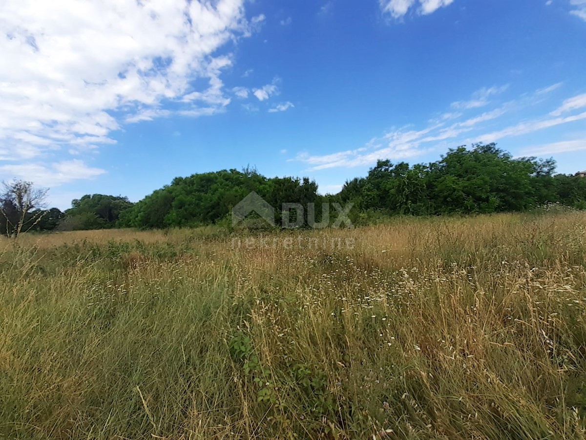 Savudrija, Umag, 11.677m2