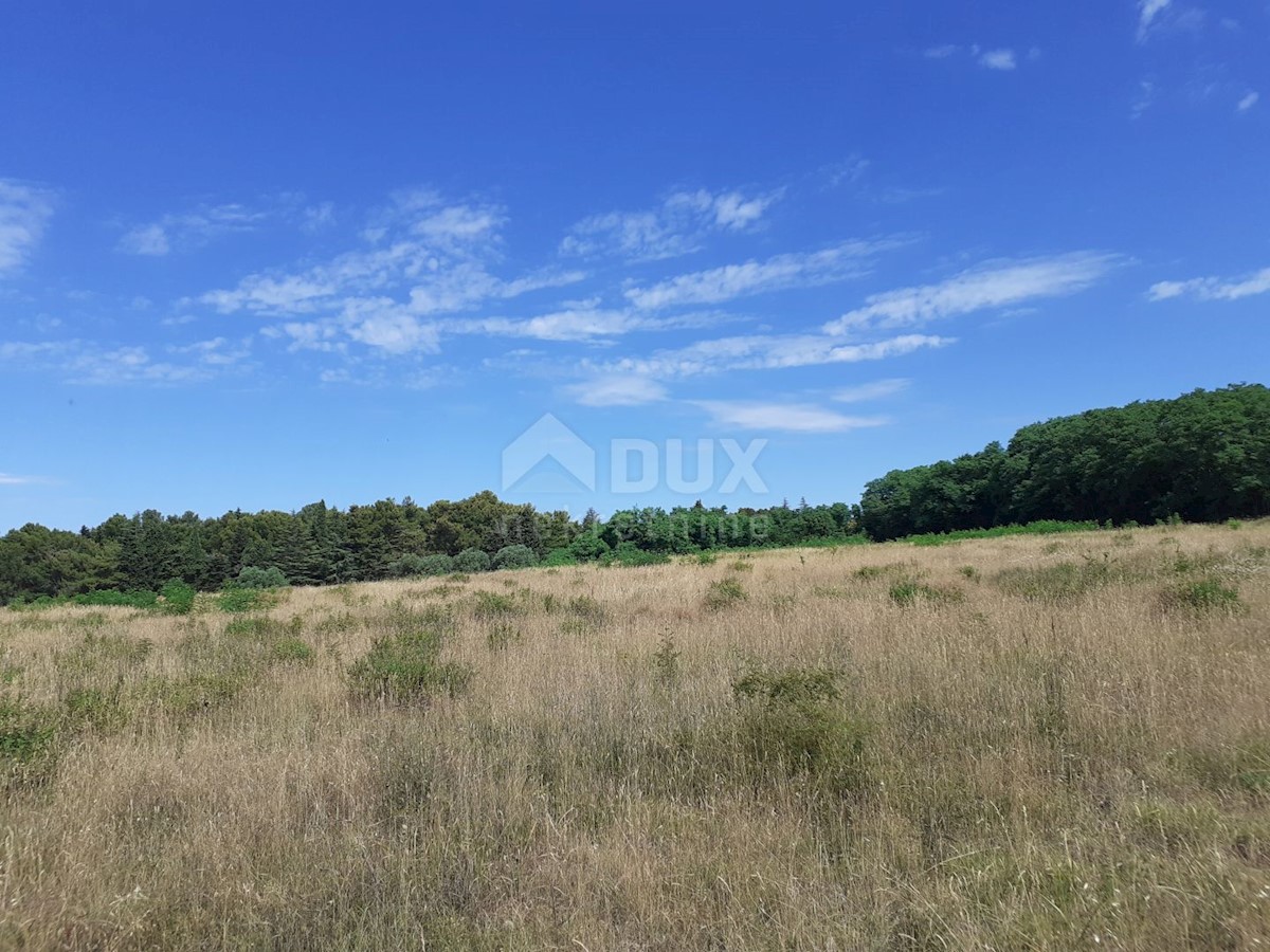 Savudrija, Umag, 11.677m2