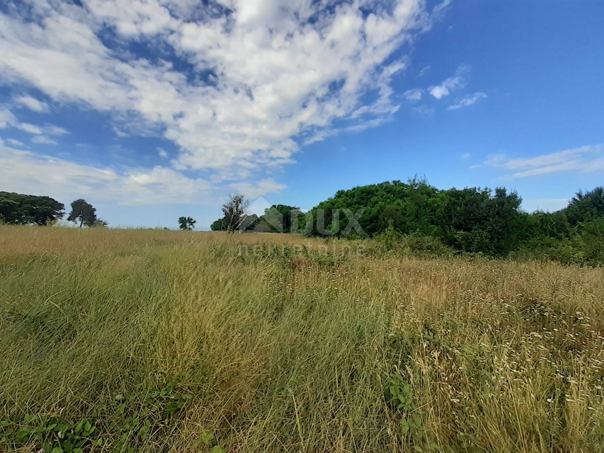 Savudrija, Umag, 11.677m2