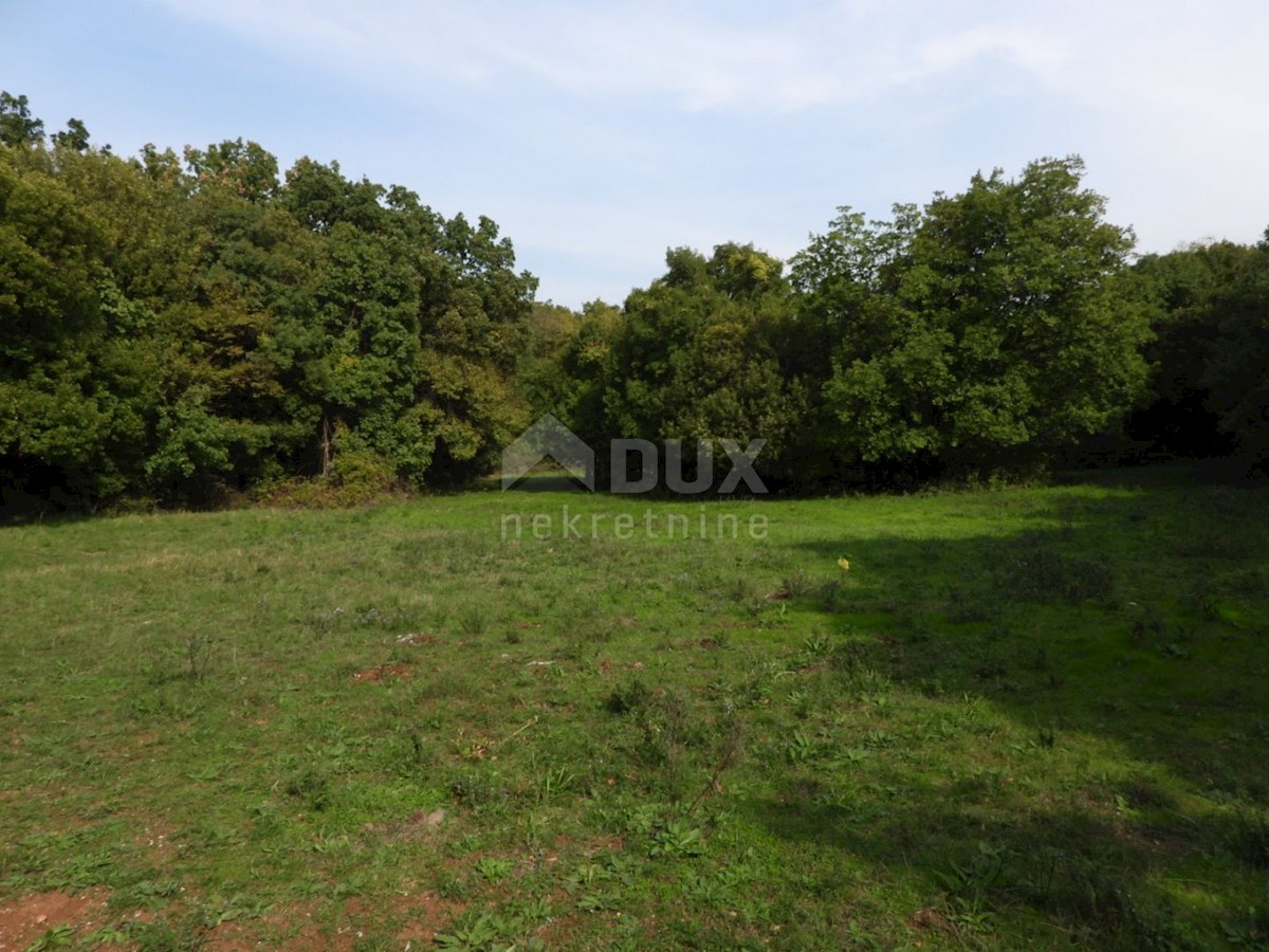 Kukuljanovo, Bakar, 8.140m2