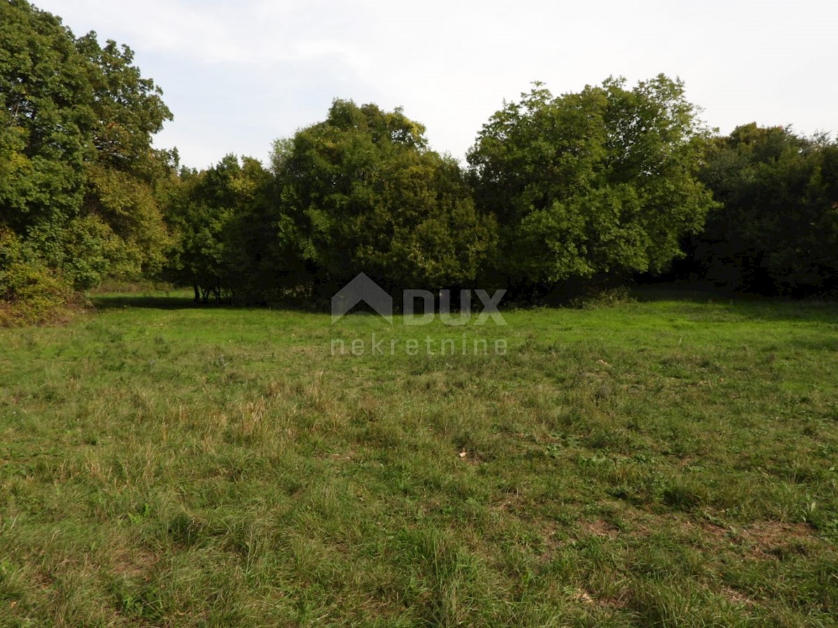 Kukuljanovo, Bakar, 8.140m2