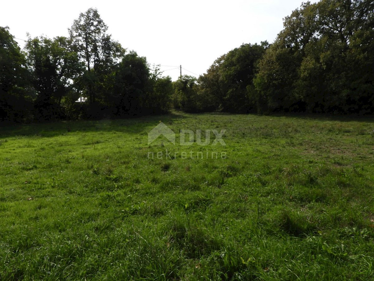 Kukuljanovo, Bakar, 8.140m2