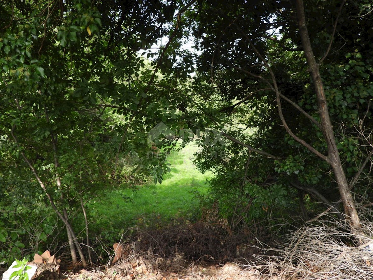 Kukuljanovo, Bakar, 8.140m2