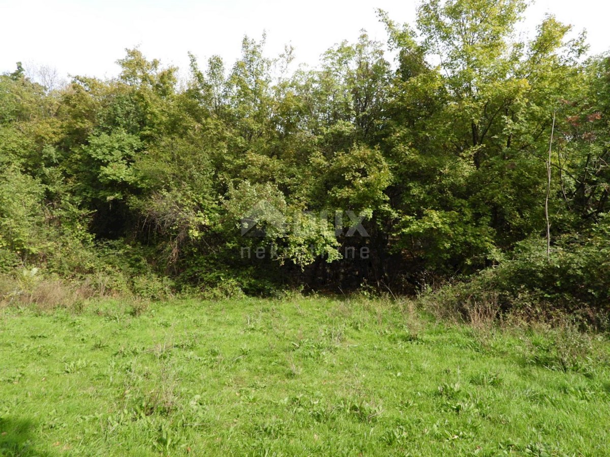 Kukuljanovo, Bakar, 8.140m2