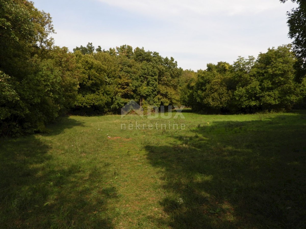 Kukuljanovo, Bakar, 8.140m2