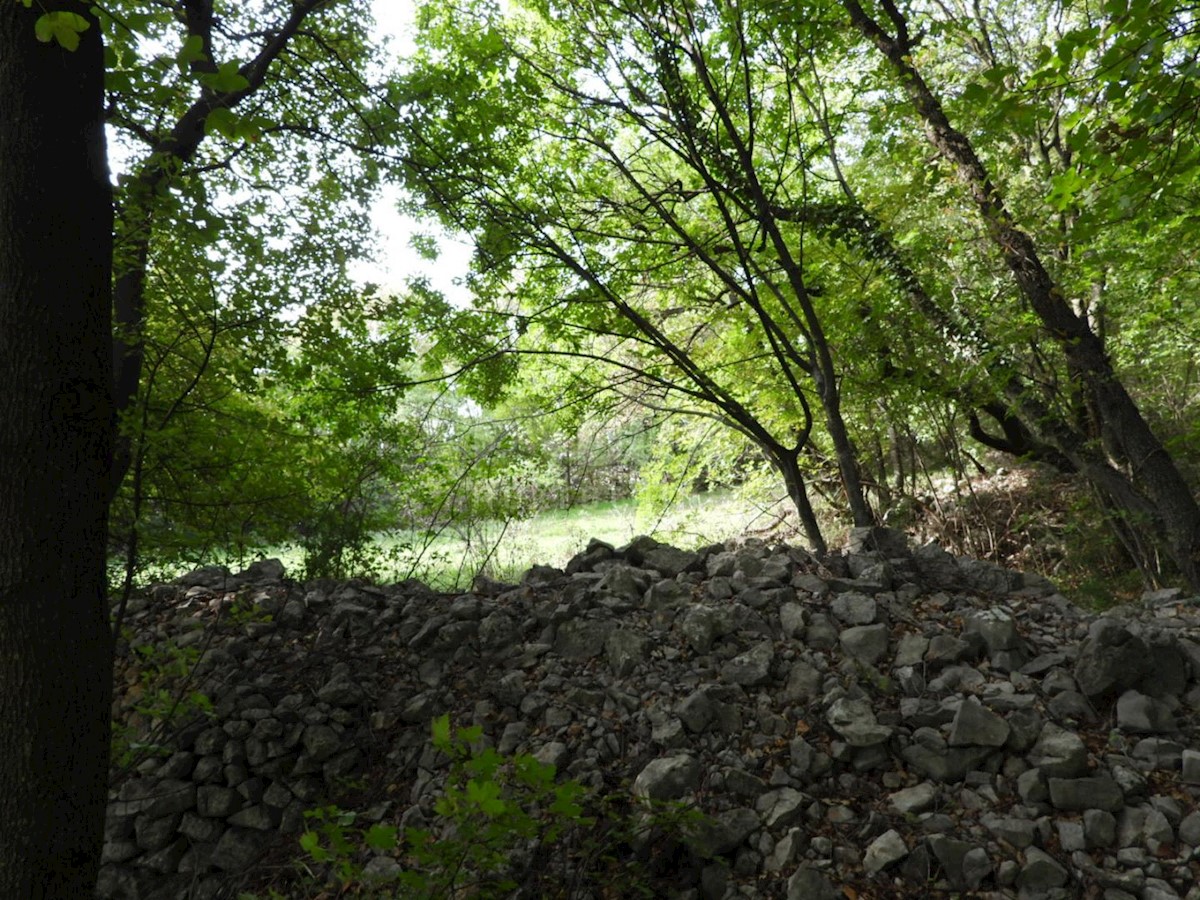 Kukuljanovo, Bakar, 8.140m2