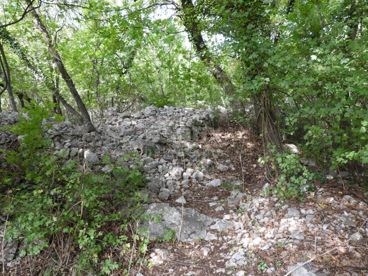 Kukuljanovo, Bakar, 8.140m2