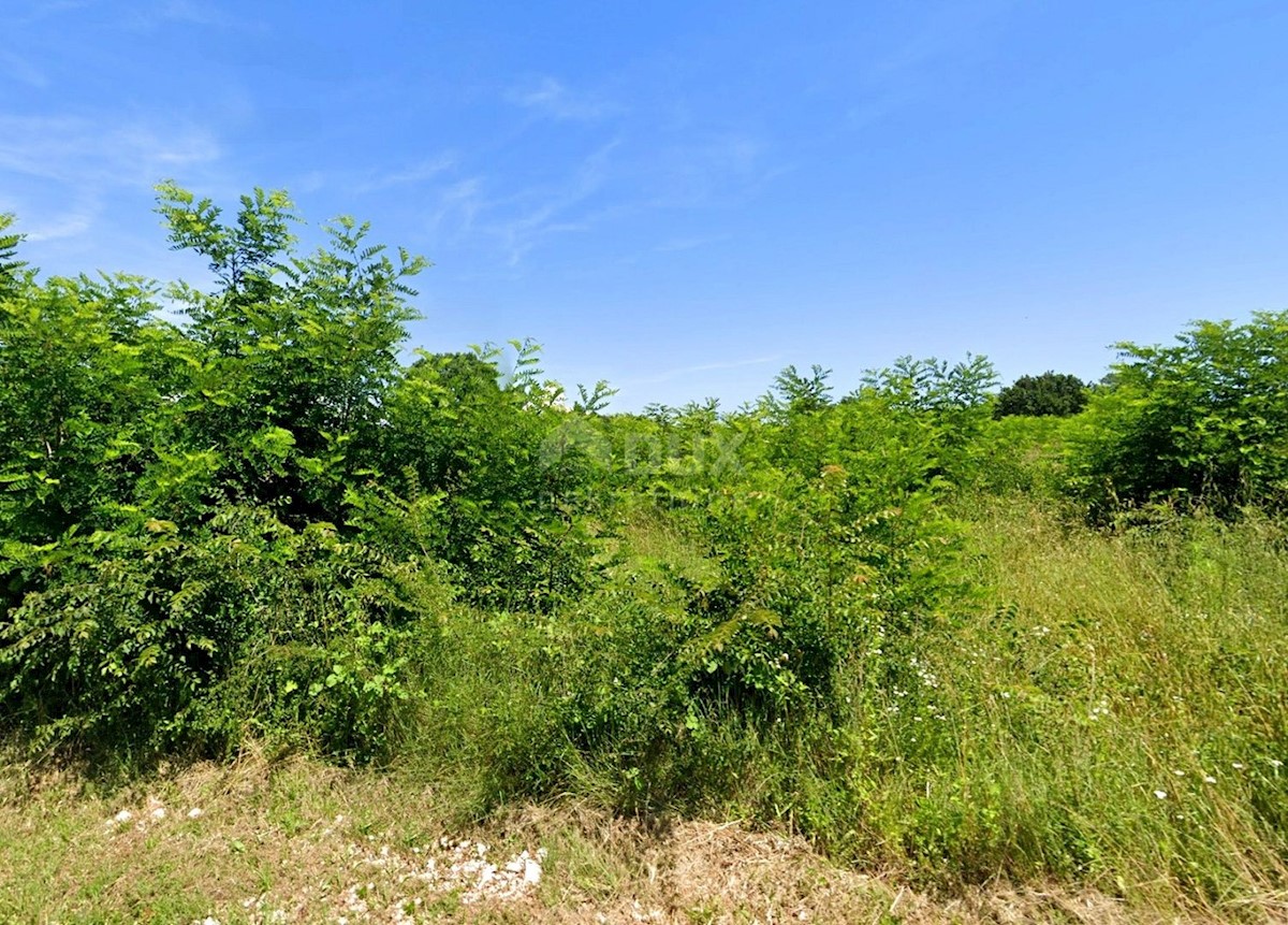 Barban, 6.153m2