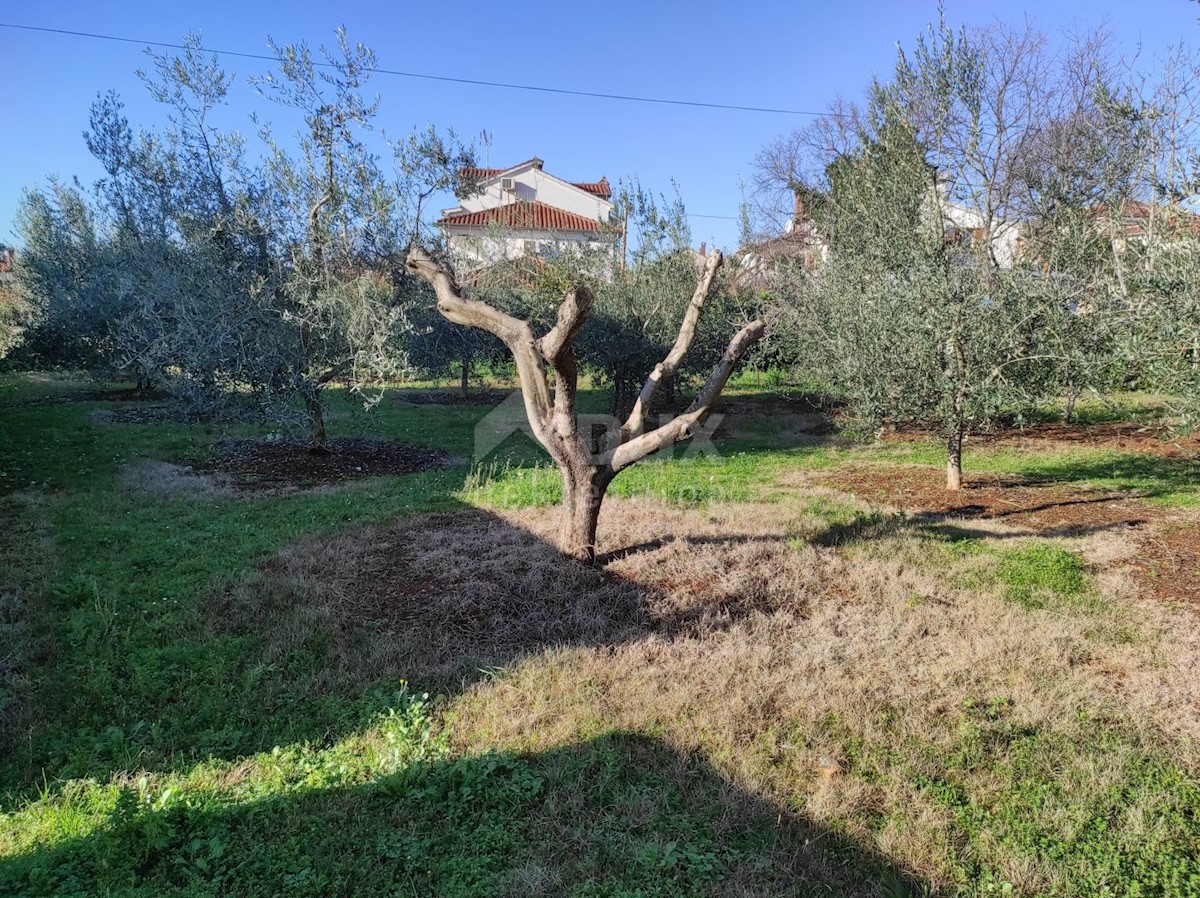 Poreč, 170m2