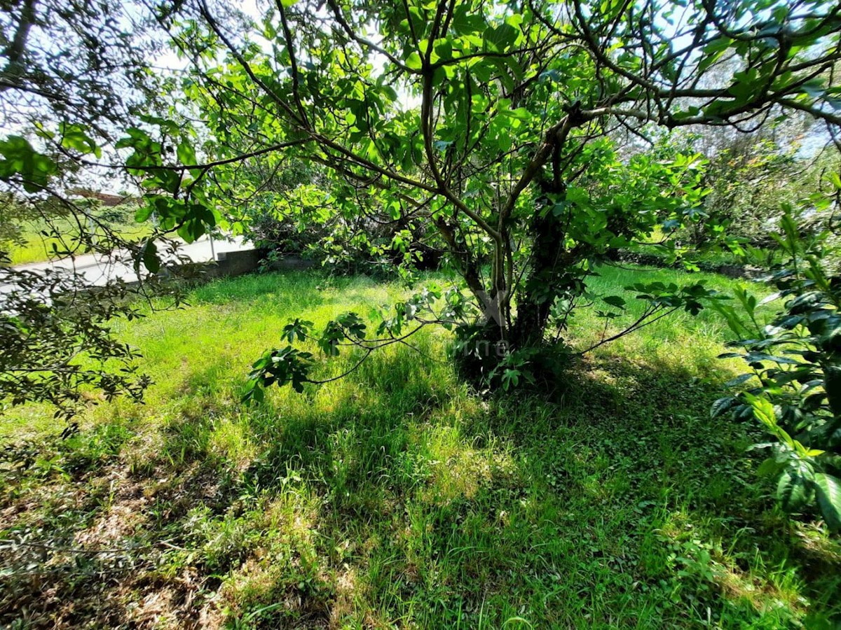 Vinkuran, Medulin, 178m2