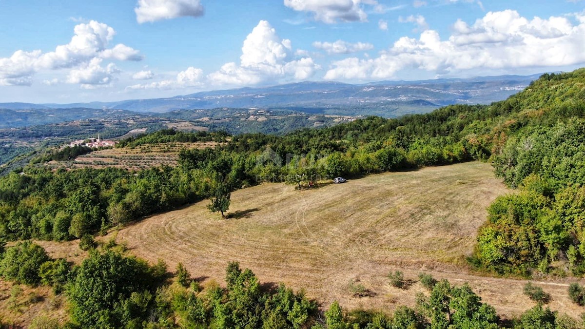 ISTRA, CEROVLJE - Prostrano kmetijsko zemljišče z oljkami