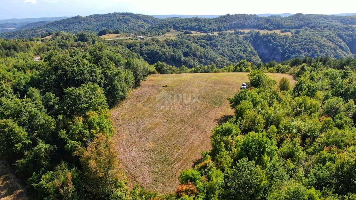 ISTRA, CEROVLJE - Prostrano kmetijsko zemljišče z oljkami