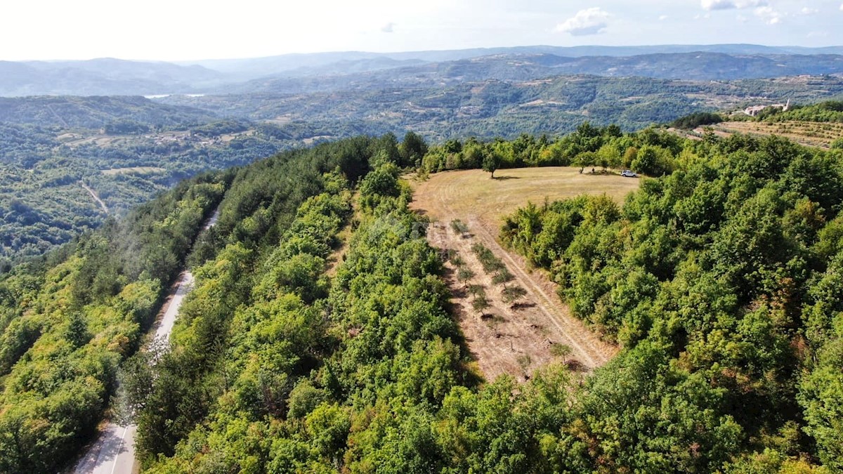 ISTRA, CEROVLJE - Prostrano kmetijsko zemljišče z oljkami