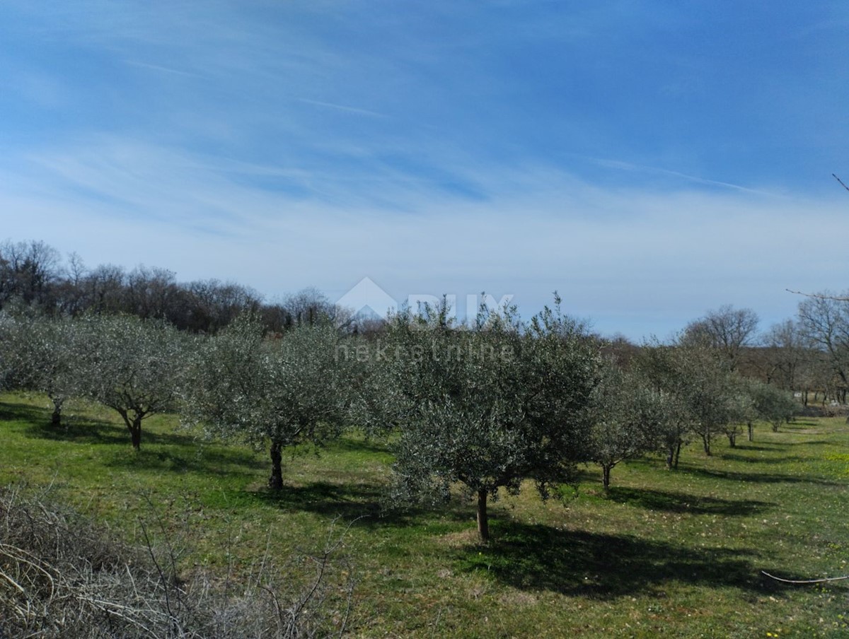 Poreč, 6.419m2