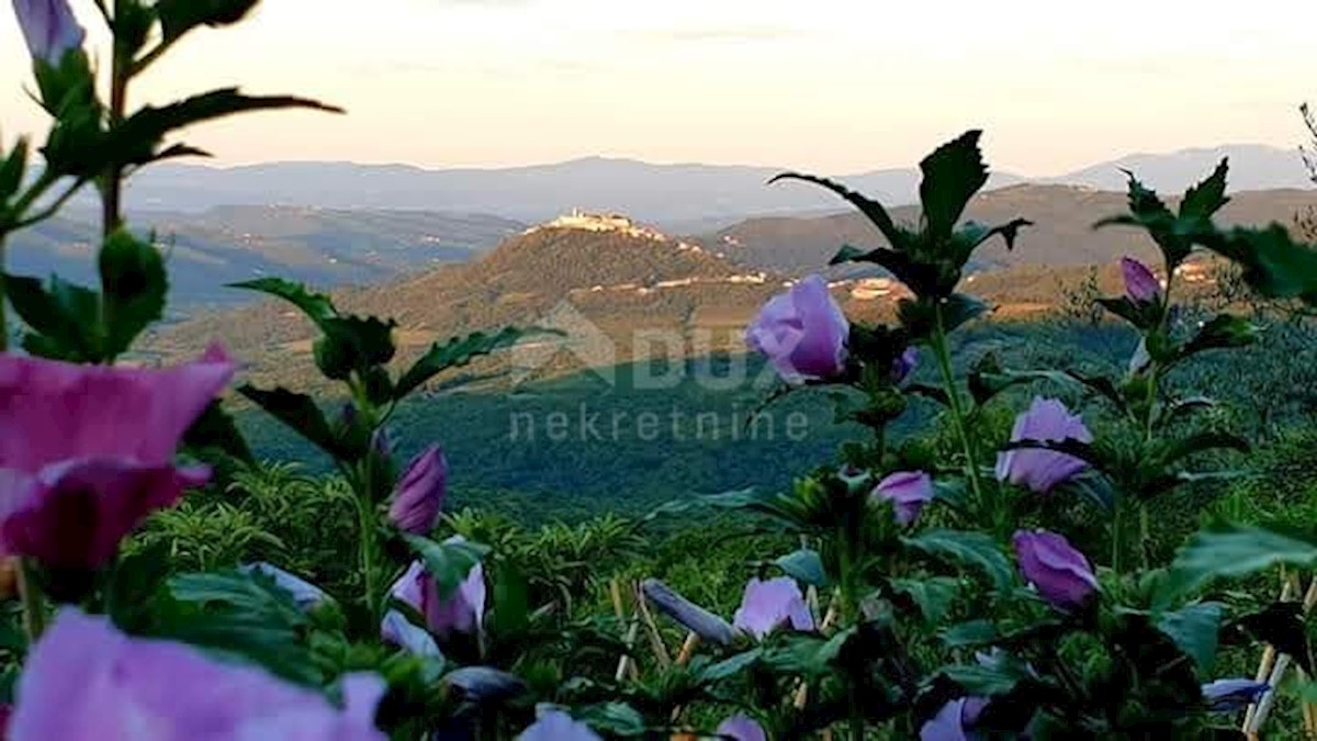 Vižinada, 1.700m2