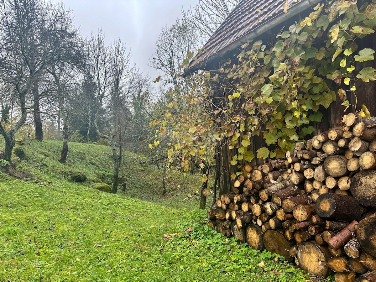 Tomići, Vrbovsko, 140m2