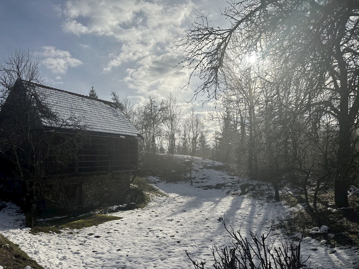 Tomići, Vrbovsko, 140m2