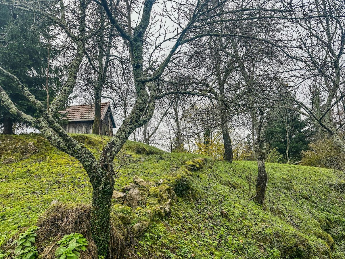 Tomići, Vrbovsko, 140m2