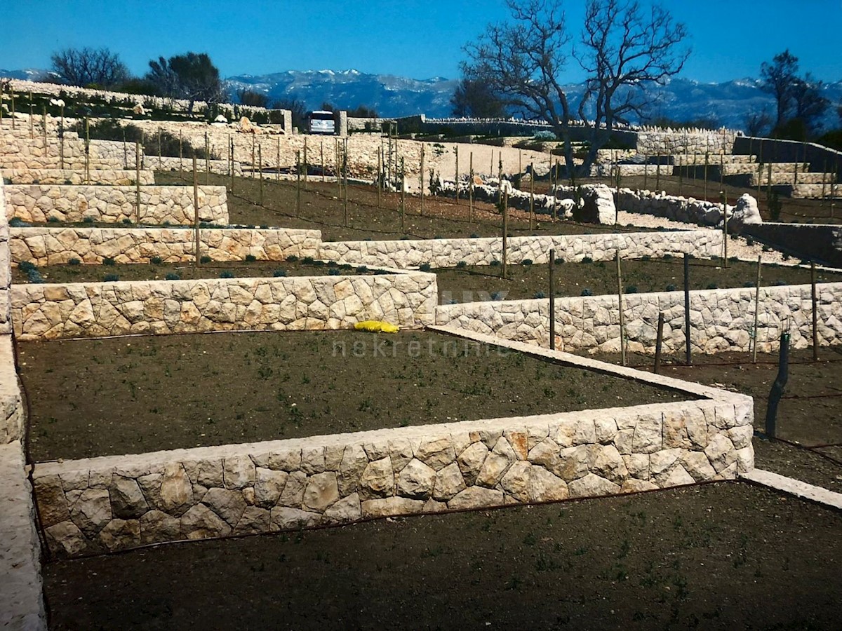 OTOK PAG, DRAŽICE - Izjemna zazidljiva parcela