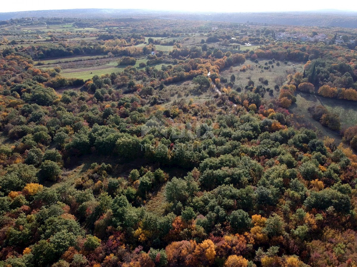 Zemljišče Mrgani, Kanfanar, 36.757m2