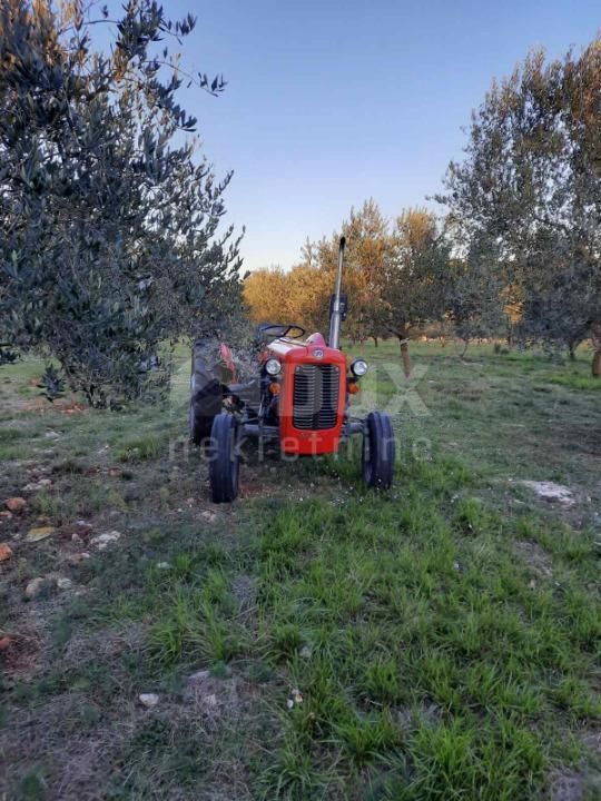 Vrh, Krk, 13.127m2