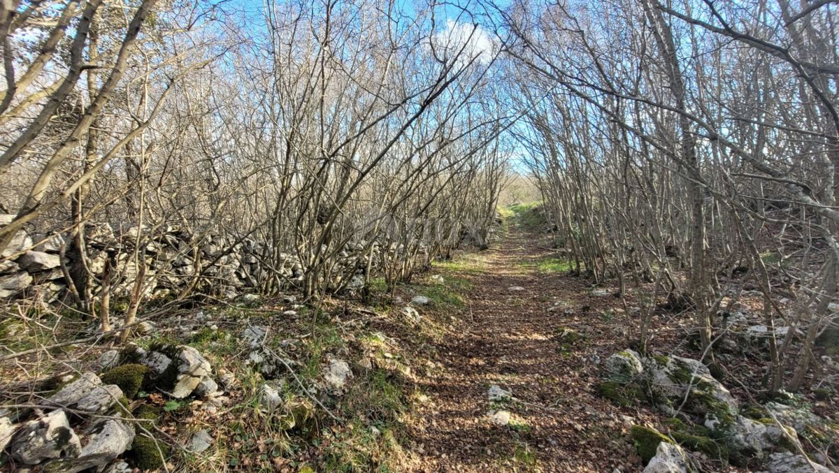 OTOK KRK, KRK - Ravno zemljišče bogato z gozdom z dostopom, idealno za OPG, 3000m od morja!