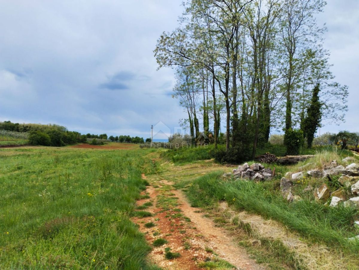 ISTRA, POREČ (okolica) - Gradbeno zemljišče s pogledom na morje