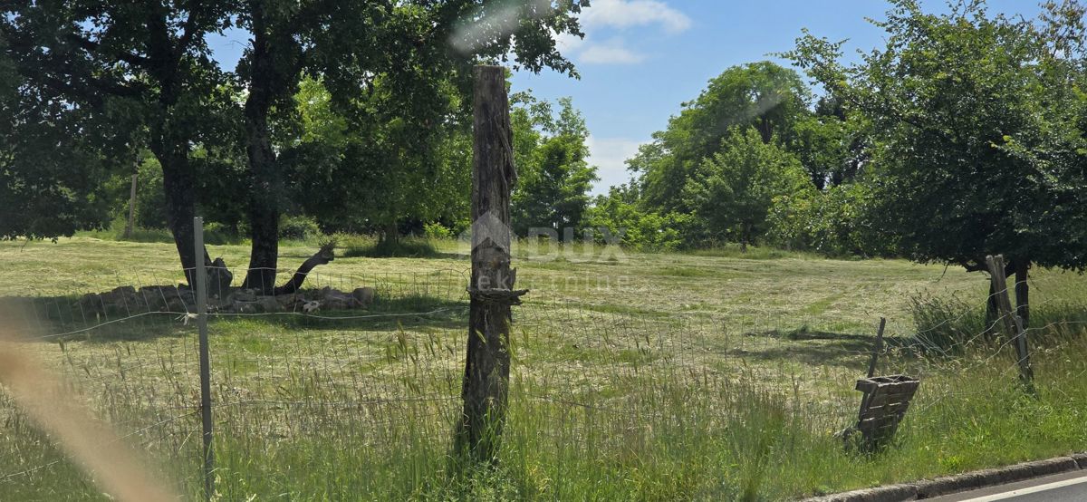 Žminj, 1.000m2