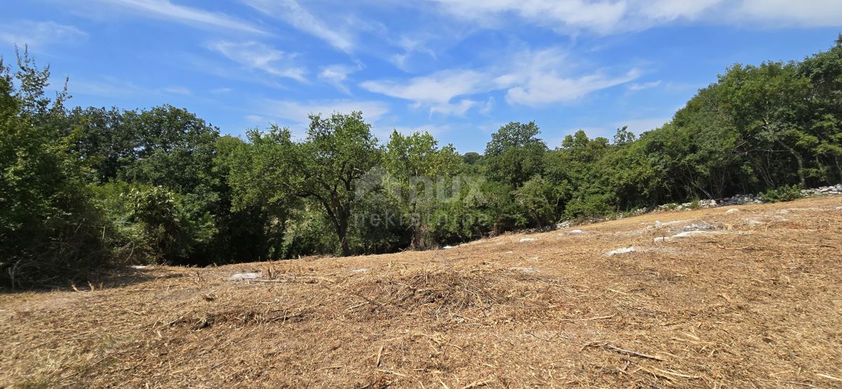 ISTRA, ROVINJ - Prostorno gradbeno zemljišče 