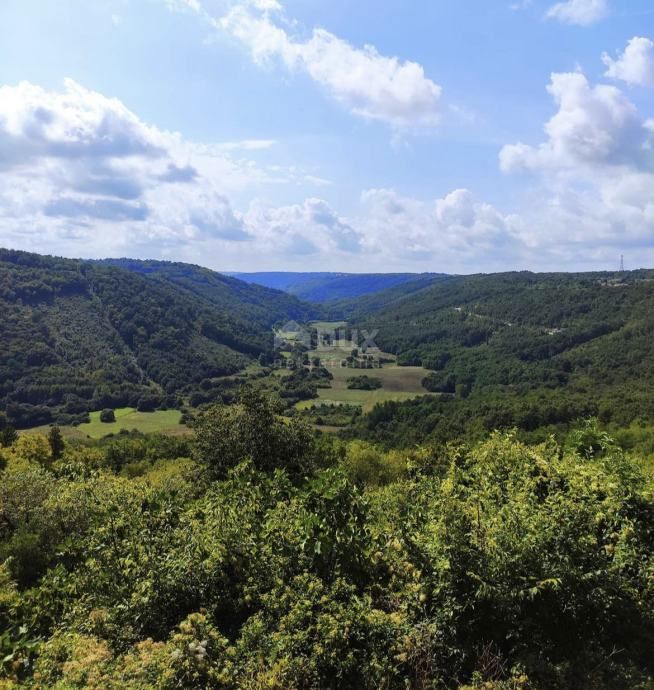 ISTRA, TINJAN - Gradbeno zemljišče obdano z zelenjem!