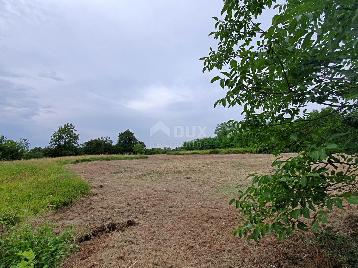 ISTRA, BRTONIGLA - Zemljišče z gradbenim dovoljenjem in panoramskim razgledom