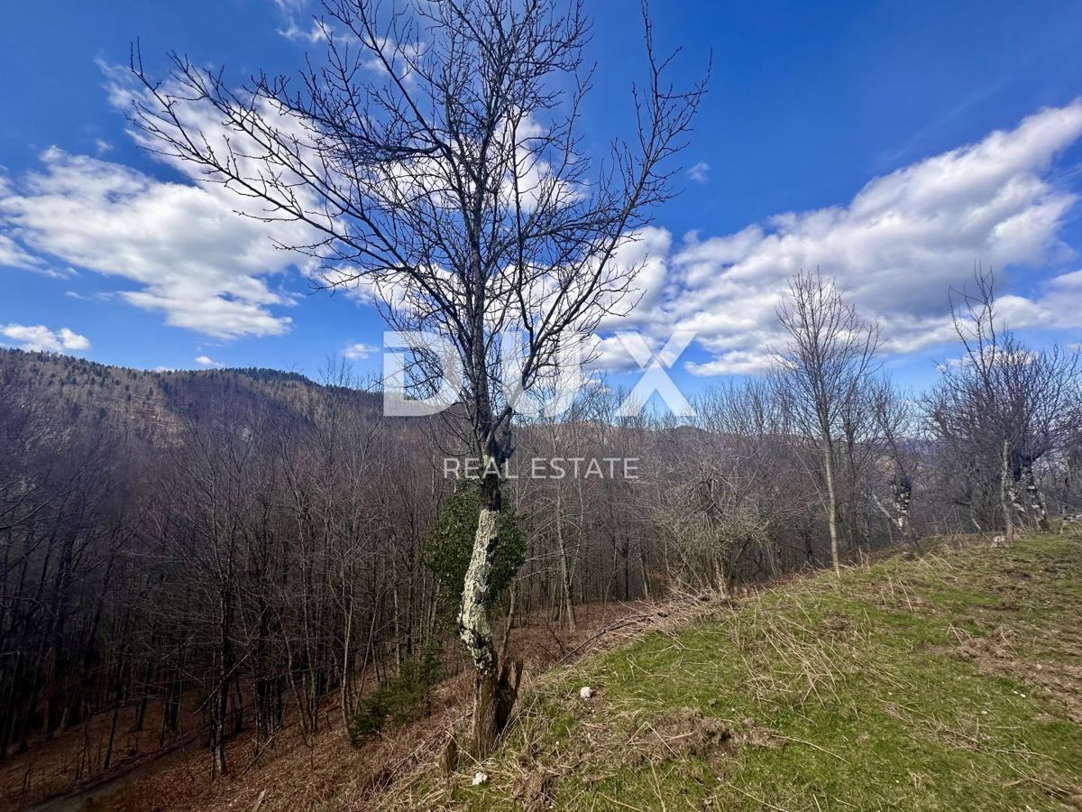 GORSKI KOTAR - Čudovita hiša na samem v Narodnem parku Risnjak