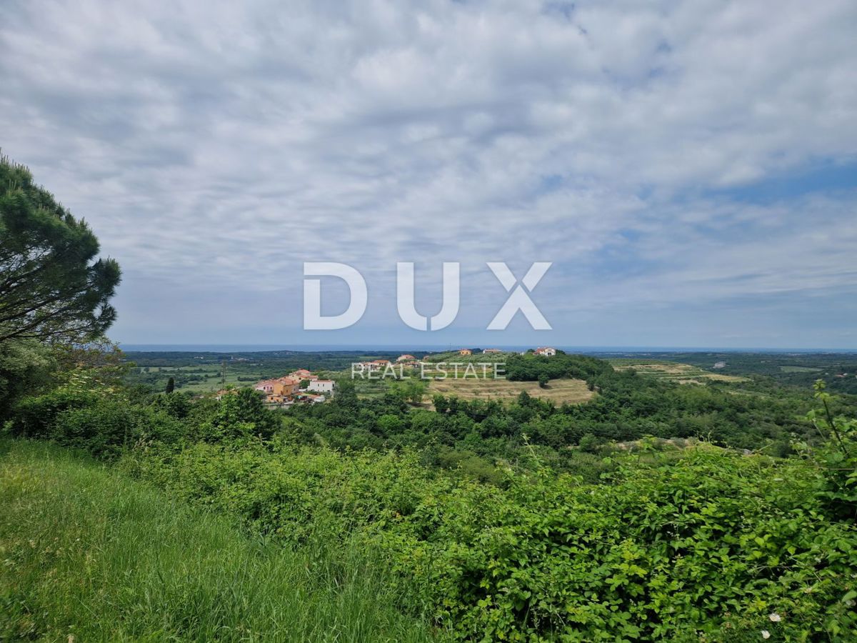 ISTRA, BUJE - Samostojna hiša s panoramskim razgledom