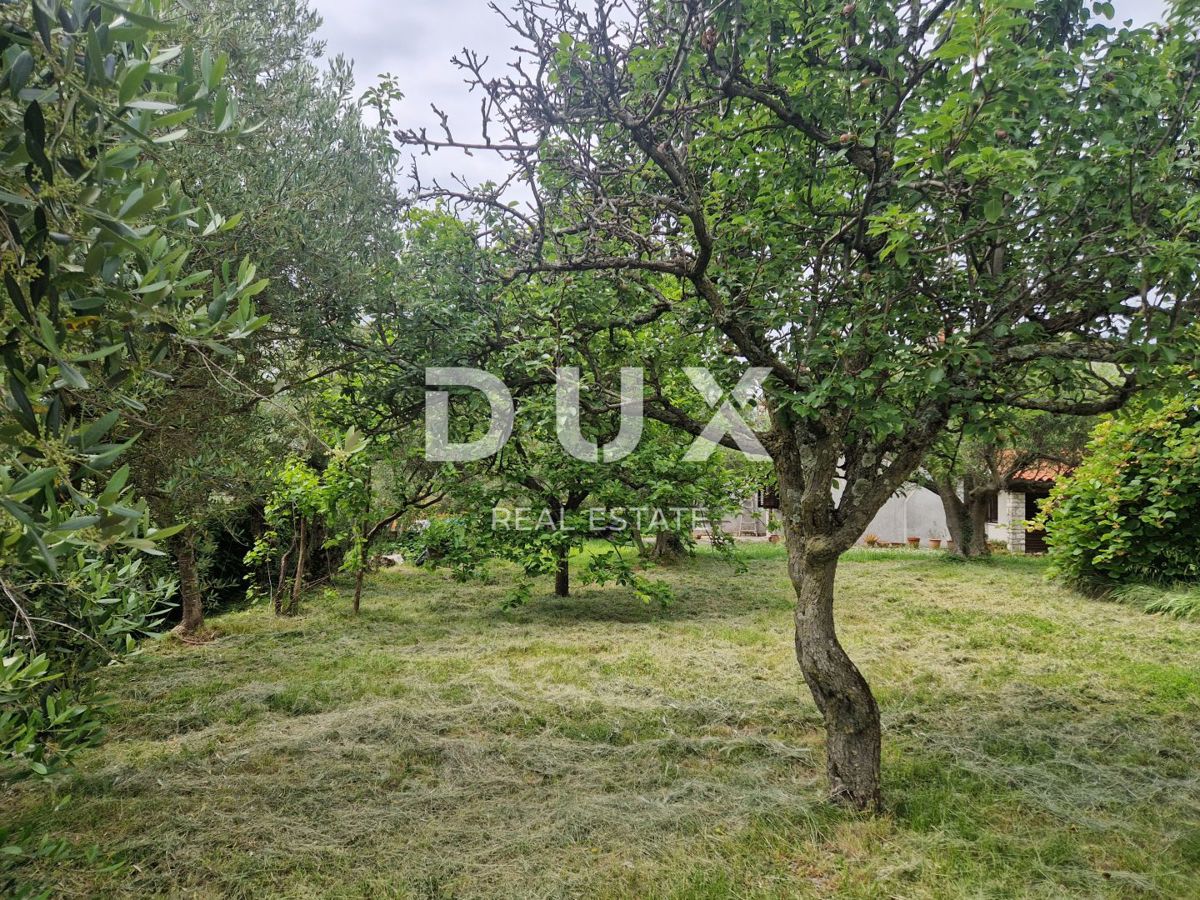 ISTRA, BUJE - Samostojna hiša s panoramskim razgledom