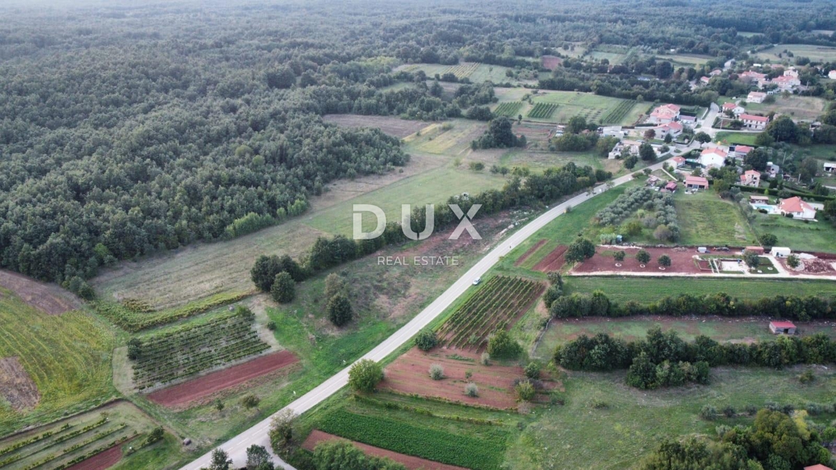 ISTRA, BARBAN - Investicijska priložnost! Gradbena zemljišča s pogledom na morje z idejnim projektom!