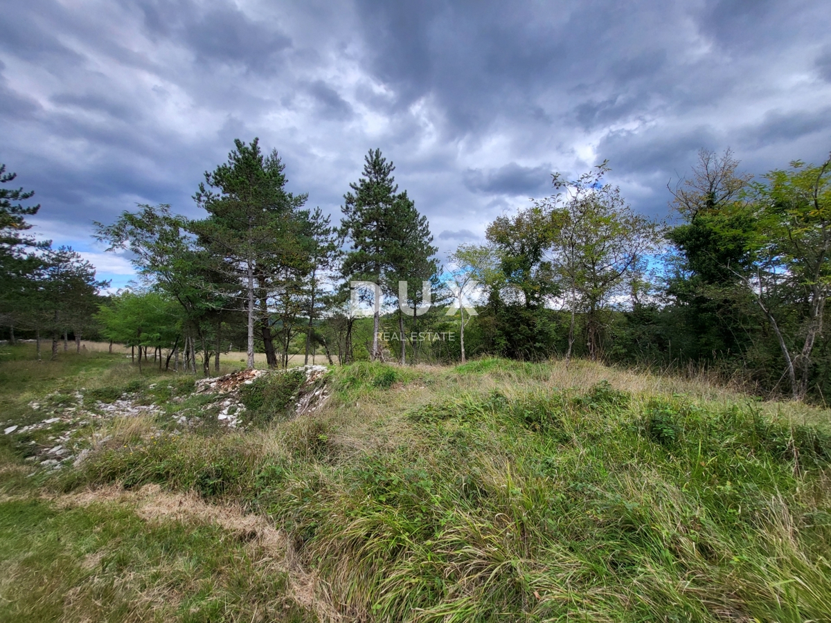 Zemljišče Oprtalj, 17.250m2