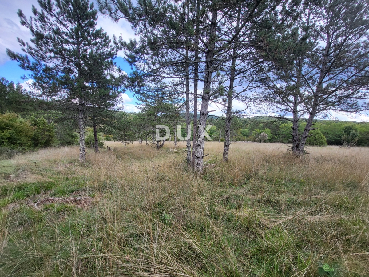 Zemljišče Oprtalj, 17.250m2