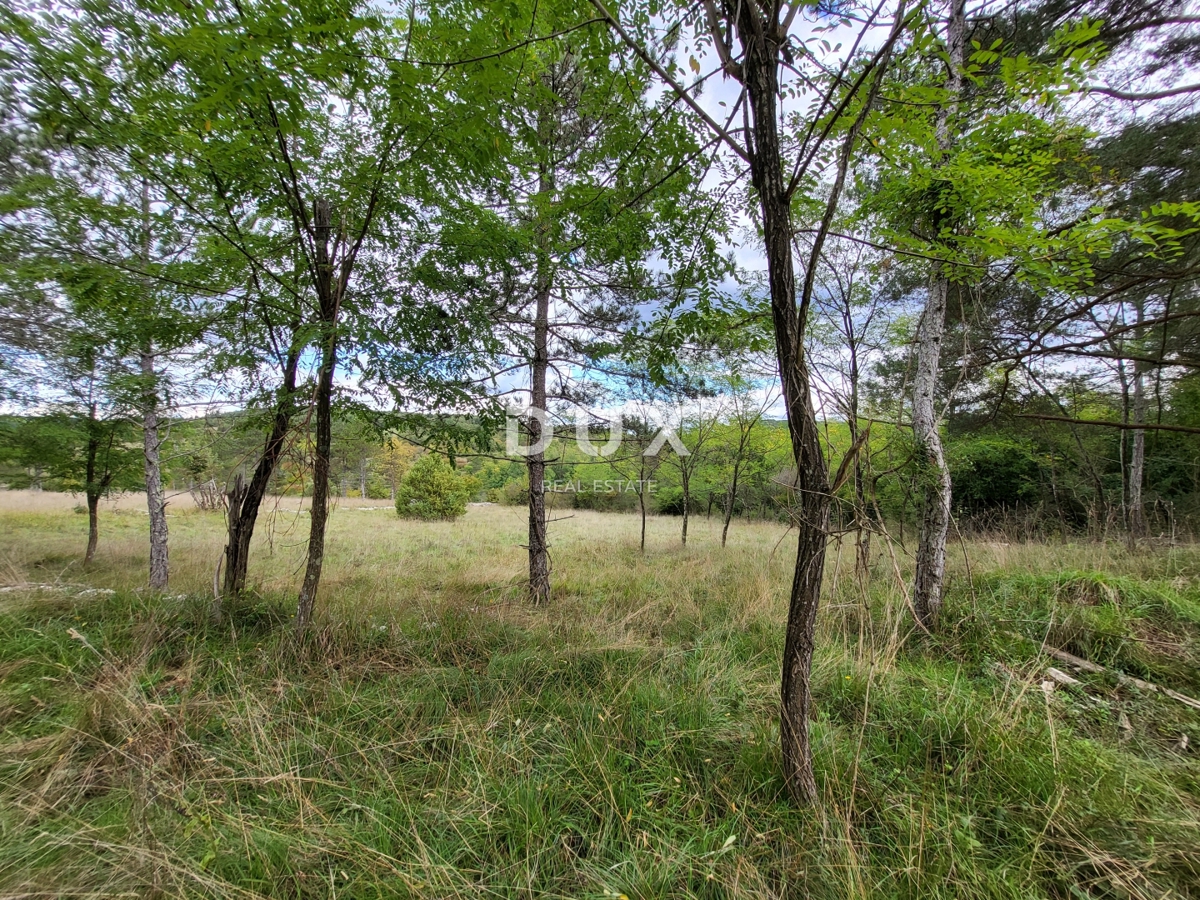 Zemljišče Oprtalj, 17.250m2