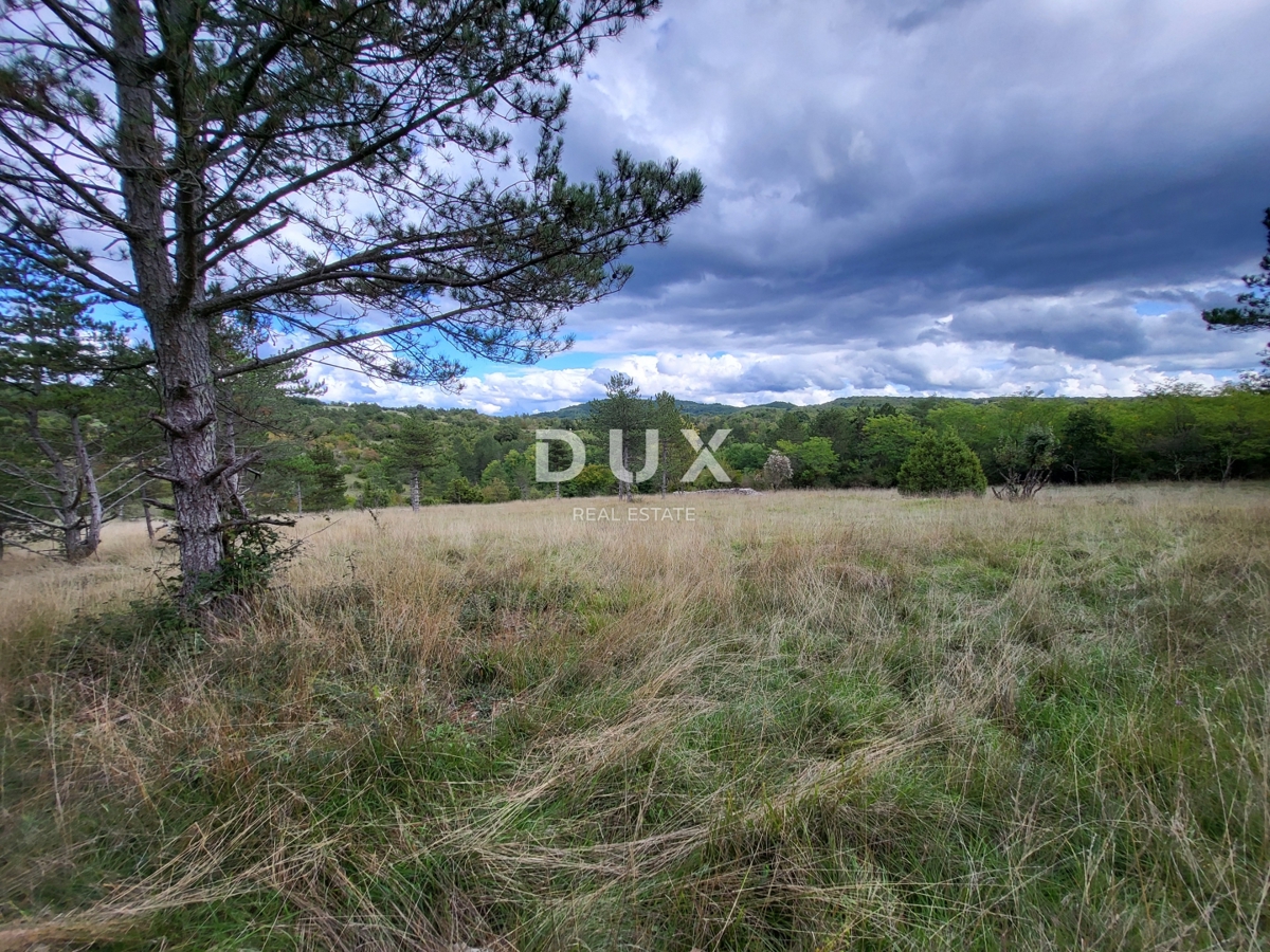 Zemljišče Oprtalj, 17.250m2