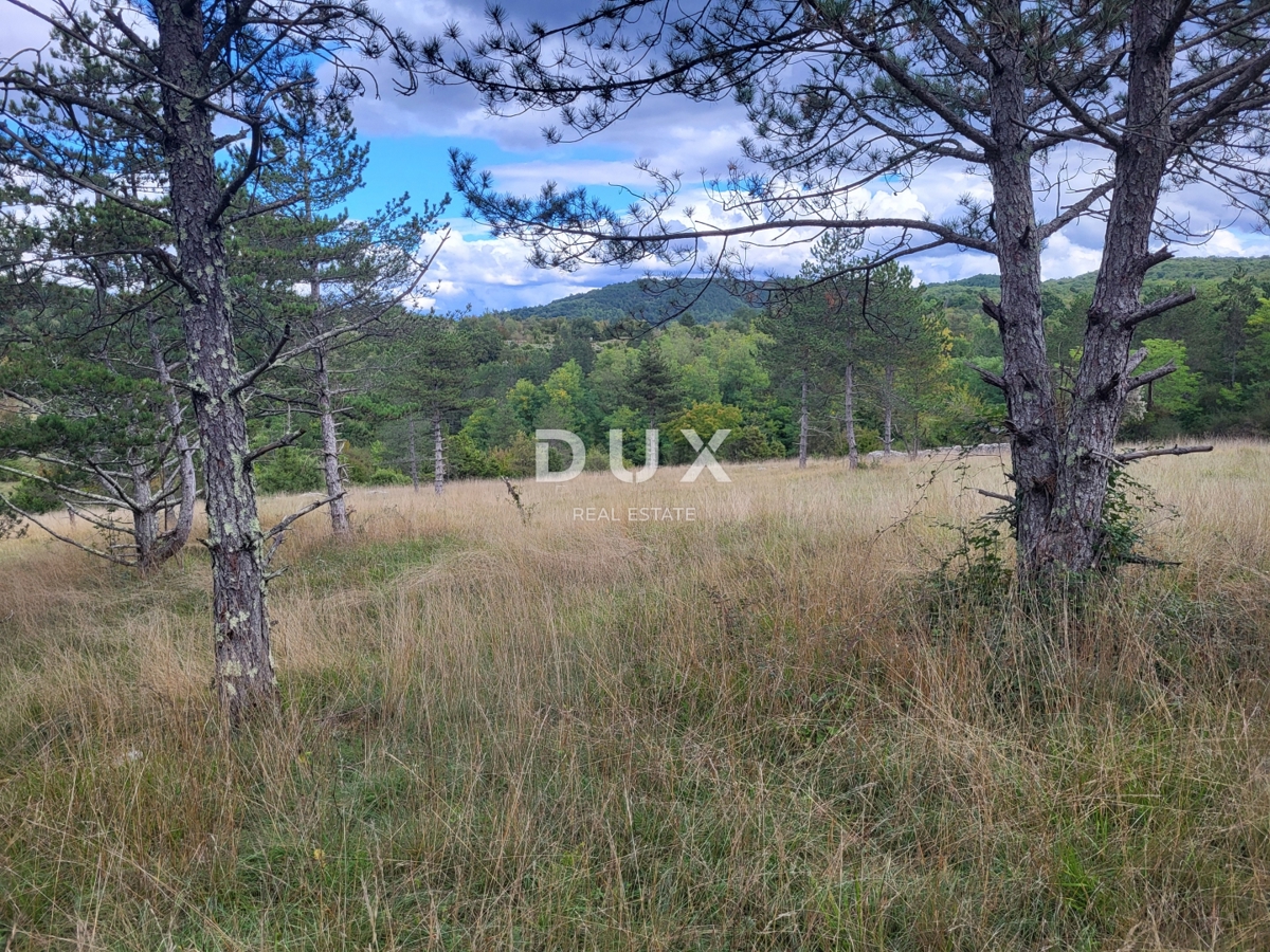 Zemljišče Oprtalj, 17.250m2