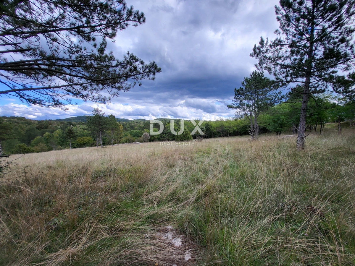 Zemljišče Oprtalj, 17.250m2