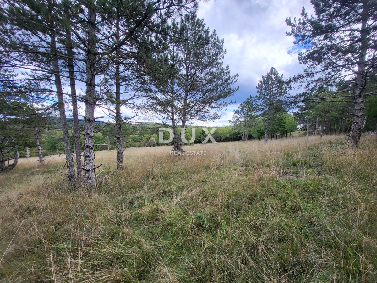 Zemljišče Oprtalj, 17.250m2