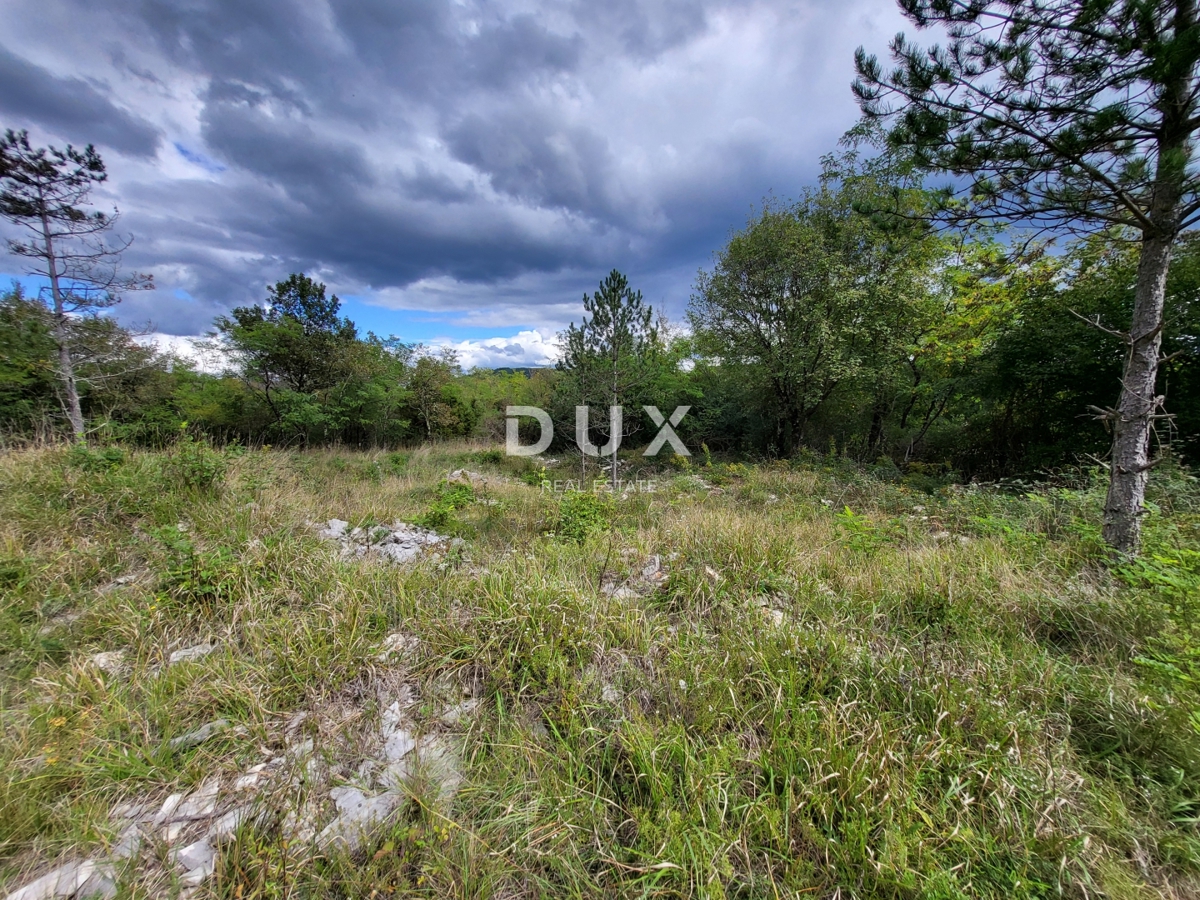 Zemljišče Oprtalj, 17.250m2